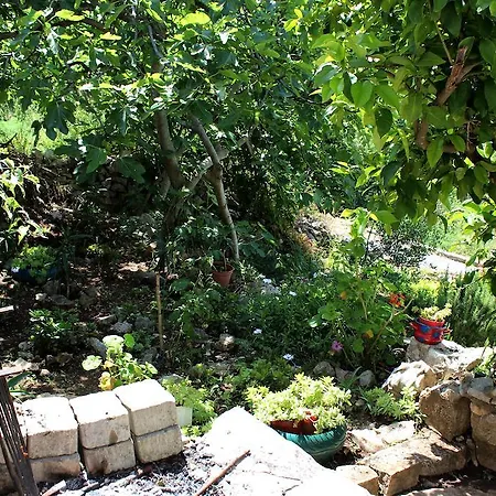 Ferienhaus House Zrno *