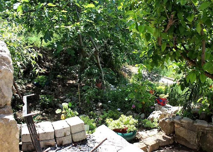 بيت للعطل House Zrno *